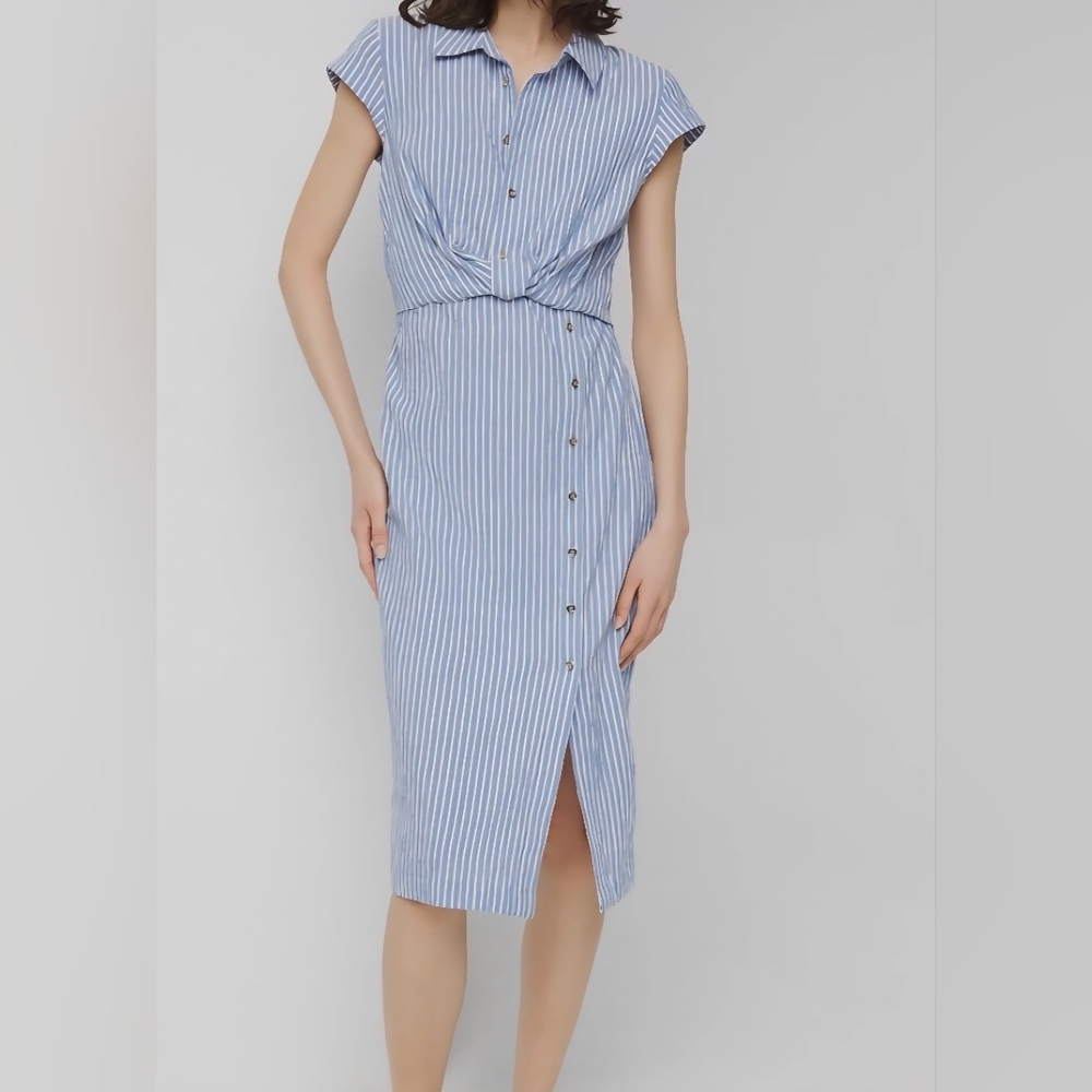 WHBM Blue Striped Button-Down Dress